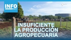 Info Martí | La producción agropecuaria es insuficiente